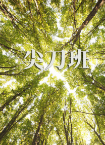 日本aaaa视频